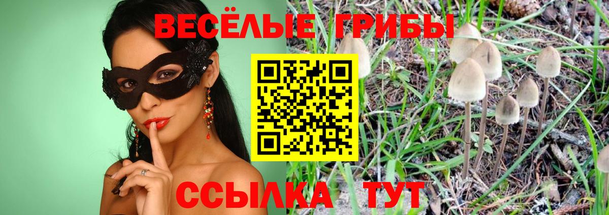 Семёнов  Галлюциногенные грибы мицелий  Вход с VPN  купить   Псилоцибиновые грибы прущие грибы 